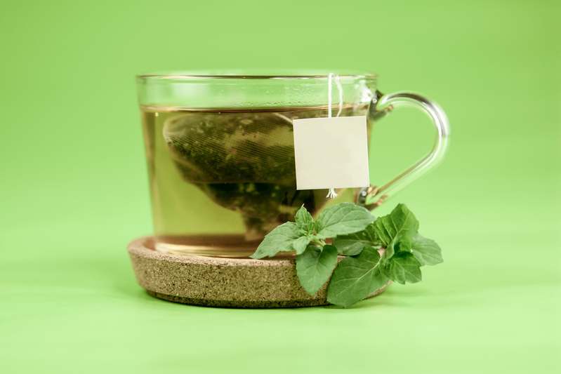 Close-up of lemon balm plant growing in a terracotta pot on a sunlit kitchen windowsill